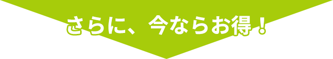 さらに今ならお得！